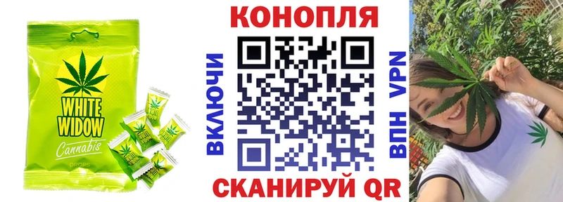 Canna-Cookies марихуана Партизанск