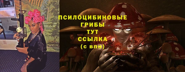 крисы Михайловск
