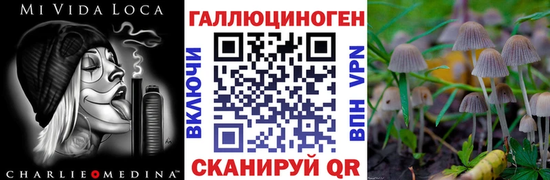 omg ССЫЛКА  Партизанск  Галлюциногенные грибы Psilocybine cubensis  купить закладку 